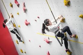 谁是2025年＂最粪游戏＂？M站今年最差游戏评分榜出炉