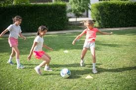 百家乐新手为什么要先学停（为什么百家乐新手应先学会“停”）