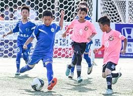 申花蒋圣龙轻伤仍能出战